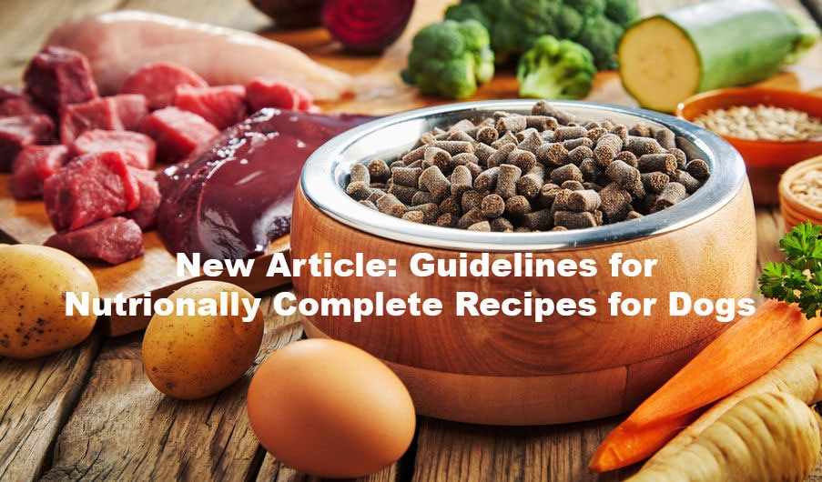 Guidelines for Nutritionally Complete Diets for Dogs | Cherished Hound